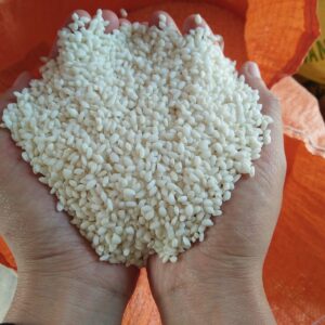 Nếp cái hoa vàng bải hậu 6 tháng