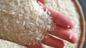 top 10 loai gao viet ngon nhat duoc nguoi tieu dung lua chon 202101202134082628