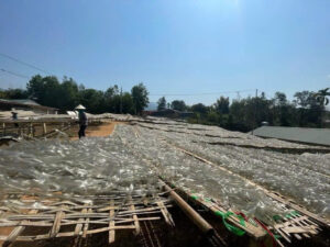 z6176632177978 99bb877536067f0f8a75c339dcea392a