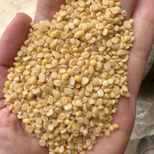 Đậu xanh tách vỏ myanmar size 2.8-3.0 bở thơm giá rẻ nguyên liệu làm bánh ngon