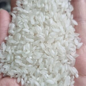 gạo samo hạt tròn đục trong gạo đồng bằng sông cửu long cơm khô phù hợp làm bánh cuốn bánh ướt cơm rang, bún phở có sẵn tại kho Đại An