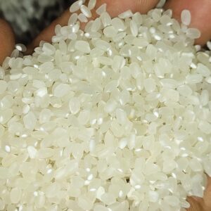 Gạo Nhật J02 gạo tròn màu trắng trong đóng gói 5kg 25kg,50kg cơm dẻo dai như xôi phù hợp làm cơm nắm nhật sushi