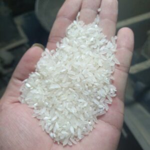 Gạo Khang dân cơm khô dẻo dai gạo miền Bắc phụ hợp cơm rang  sản xuất bún bánh đa phở, ram, bánh đa nem chả giò dai mượt hơn