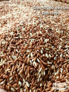 z4445417896422 34524db5b5382fbc8615ebff42a4eb83 1