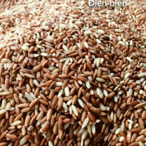 Gạo lứt đỏ dẻo nương điẹn biên, cơm dẻo gạo nương khô 6 tháng sẵn kho Hà Nội đã đóng gói hút chân không 1kg, bao 50kg bởi Hợp tác xã Đại An