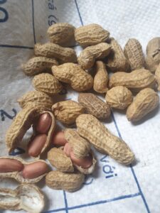 z5317652658305 b1e459ffc13c55351c3f5fbcf82b7052