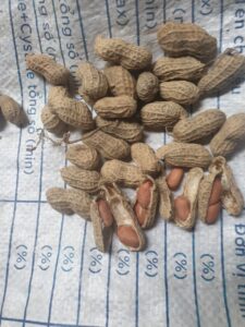 z5317652665456 0869840ce8eccbb44bb3e6a982c5d78f