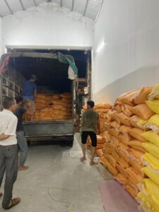 Giá vàng tăng mạnh có kéo theo giá lúa Gạo Việt Nam 1 z5403650494070 90bbb3eb1769cd83b6a463afb14ee5ca