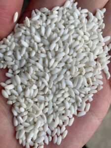 z5403650501655 af7eb467b866b8af0704acd667764b65