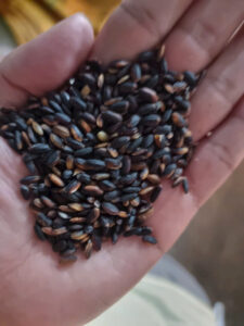 z5864904568438 7b5ce9c52602aa113fb05562f5fa246a