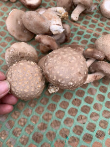 z6171653906811 691da4b3f17903815cc11b4b9f596903