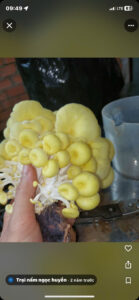 z6171653907171 959f12b2e003b68908f8db62b47673de