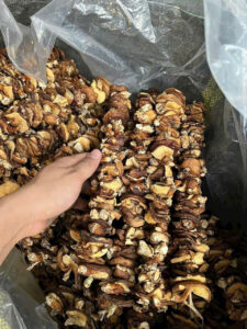 z6171712401941 ff1b393dcd1e4aa2f09da39b1c68f30b