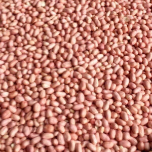 z6171712595270 4f26d5b4b508060a136e60ac56ebca27