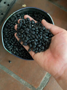 z6171712617950 06c05ed1242e1480bc6f1a08f79c11a6