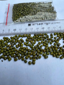 z6171712626396 faf80f20dca698c3e5c99cc81148e91d