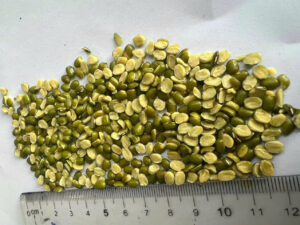 z6171712649894 a2dbace3deaf479bec3821048c9eda26