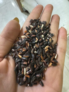 z6607736999168 0a6593aba36f76c3113eb409dde87dc7