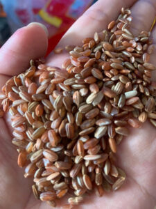 z6607737009193 3c416d647fc4615f19f9a62e24732992