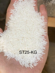 z6607737098538 53e672fc5048c2380565ffd3322e868b