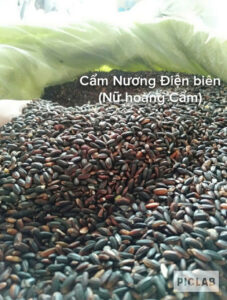 z6607737104469 37dd62085ea4301cfe54810bf34483d1