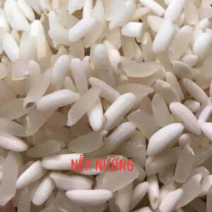 Gạo nếp nương Điện Biên quả to dẻo dai thơm mát đóng gói bởi hợp tác xã Đại An 1kg,2kg hút chân không,5kh 10kh, 50kg Gạo nếp đặc sản ngon nhất