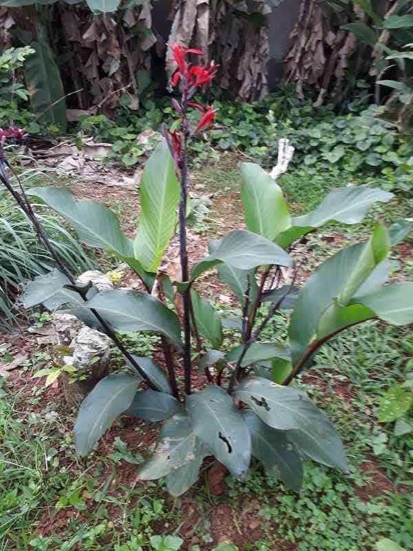 z6447674558718 e92452a9dd278ccea640792482291a00